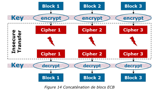 ECB_Concatenation